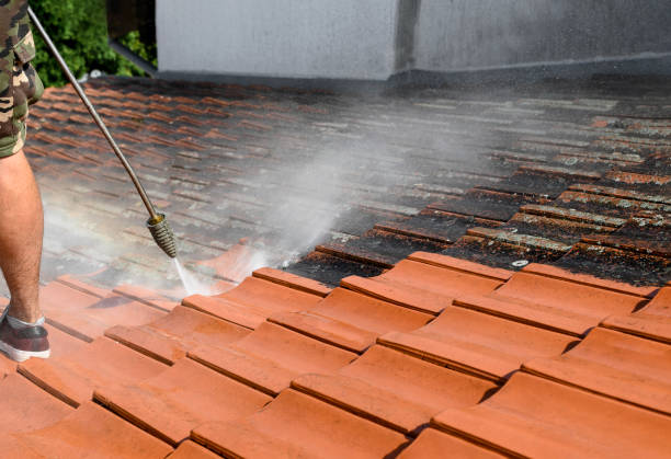 Best Concrete Pressure Washing  in Mount Vernon, TX