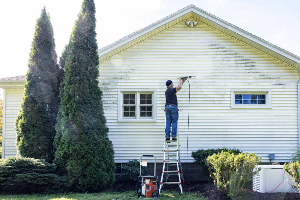 Why Choose Our Certified Pressure Washing Experts for Your Project Needs in Mount Vernon, TX?