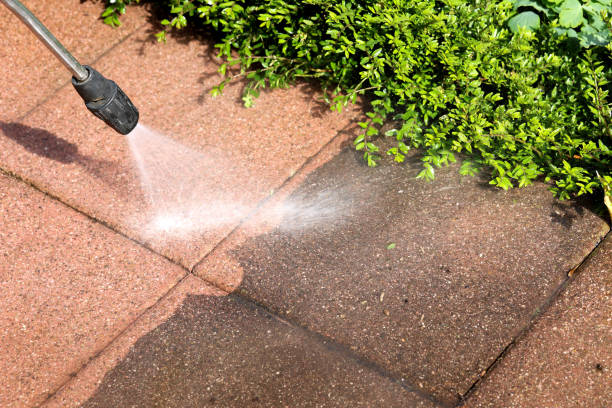 Best Concrete Pressure Washing  in Mount Vernon, TX
