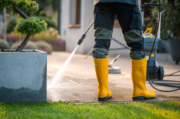 Best Best Pressure Washing Companies  in Mount Vernon, TX